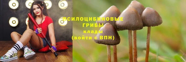 MDMA Абинск