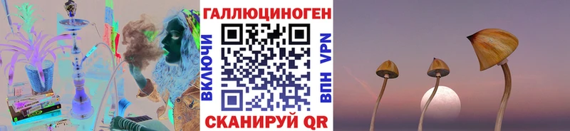 KRAKEN как зайти  даркнет сайт  Тутаев  Галлюциногенные грибы Magic Shrooms 
