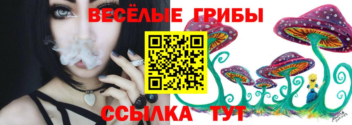 Псилоцибиновые грибы MAGIC MUSHROOMS Тутаев